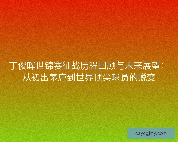 丁俊晖世锦赛征战历程回顾与未来展望：从初出茅庐到世界顶尖球员的蜕变