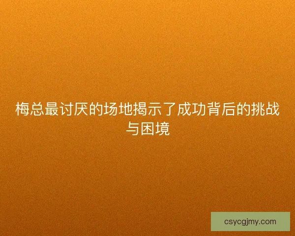 梅总最讨厌的场地揭示了成功背后的挑战与困境