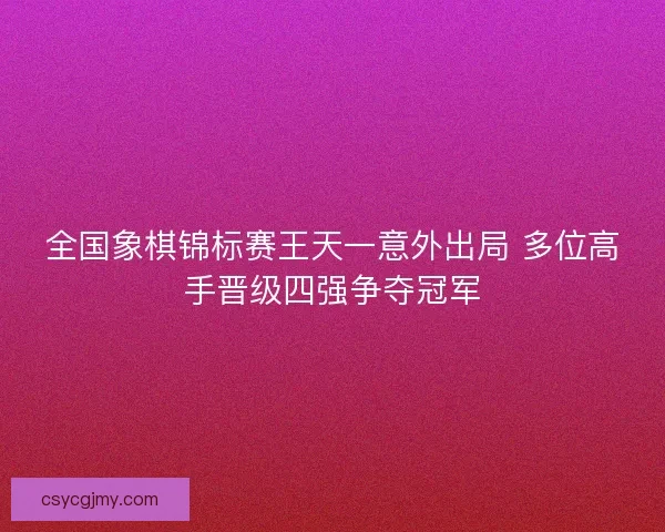 全国象棋锦标赛王天一意外出局 多位高手晋级四强争夺冠军