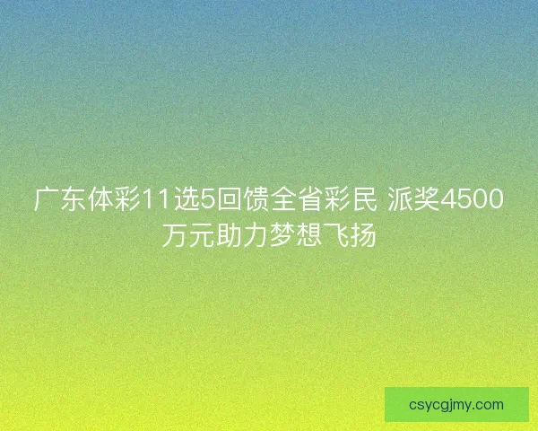 广东体彩11选5回馈全省彩民 派奖4500万元助力梦想飞扬