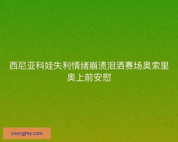 西尼亚科娃失利情绪崩溃泪洒赛场奥索里奥上前安慰