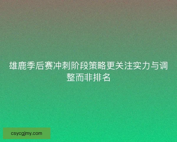 雄鹿季后赛冲刺阶段策略更关注实力与调整而非排名