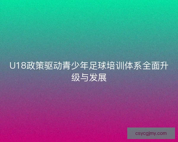 U18政策驱动青少年足球培训体系全面升级与发展