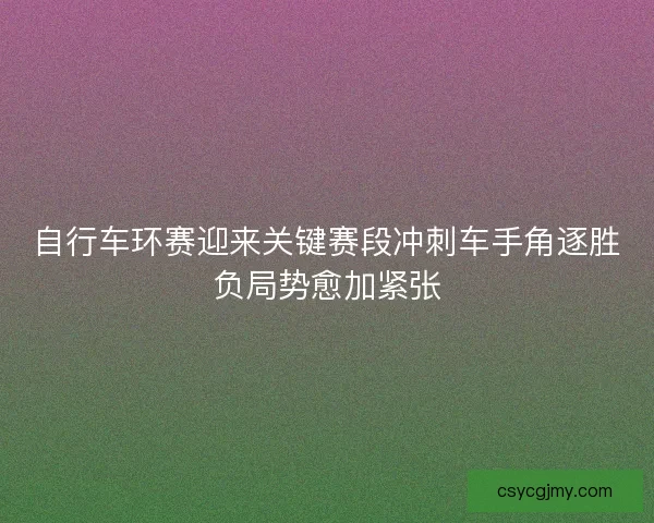 自行车环赛迎来关键赛段冲刺车手角逐胜负局势愈加紧张
